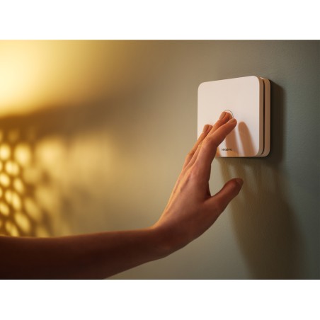 Netatmo CO Detector